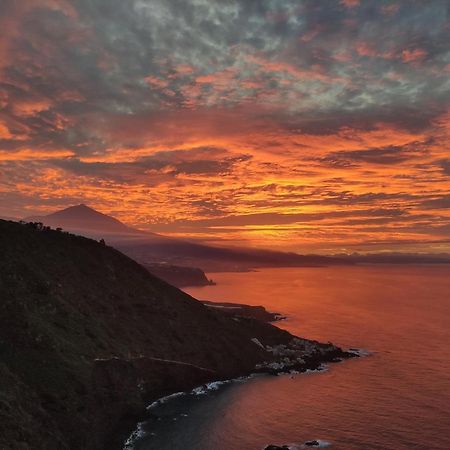 Best View Tenerife Vivienda Vacacional Ла-Матанса-де-Асентехо Экстерьер фото